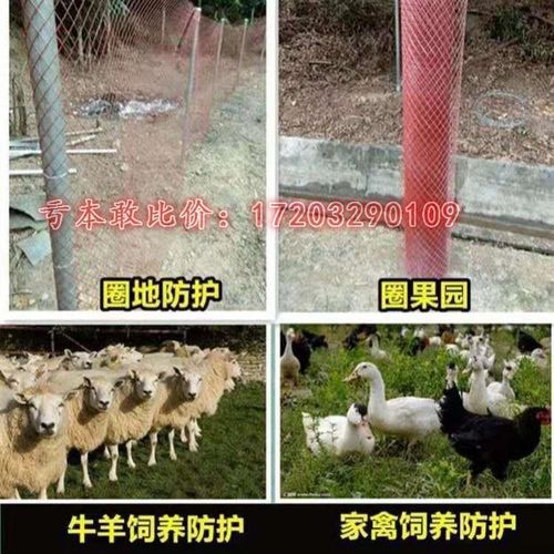 防锈菱形钢板网加硬铁丝网围栏钢丝加粗圈阳台家用网格防护网养殖