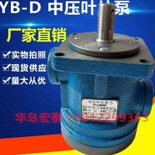 100 D80 车辆叶片泵 YBD D32 D63 D100 中压叶片泵