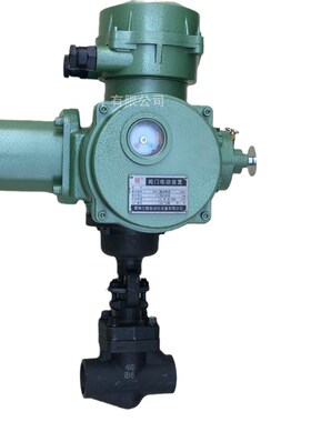 J961H/Y-64C/900LB 高压高温锻钢A105电动承插焊接闸阀截止阀DN25