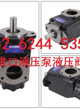T6EDM 062 035 4R02/3R02 丹尼逊工程机械油泵T6DC/T6EC/T6EDC