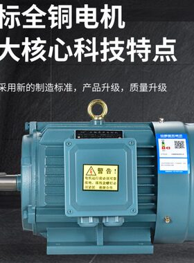 00M20W-8.YV55/铝壳K8K6.1全铜4 0-三相电机电机3.75381YM2EW/0