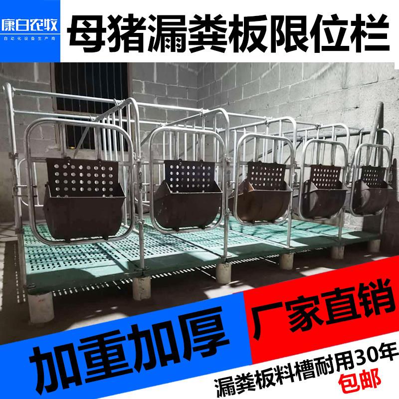 带板母猪定位栏限位栏10猪位加厚带漏粪板食槽国标2.5厚养猪设备