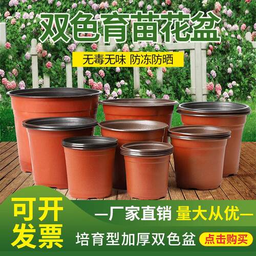 加厚双色育苗盆一次性简易花盆塑料大号多肉扦插盆营养钵育苗杯