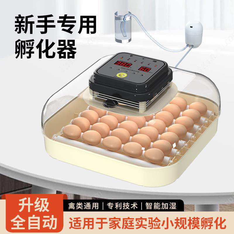 【鹦鹉专用】全自动智能孵化机小型家用孵蛋器鸡鸟蛋孵化器孵化箱