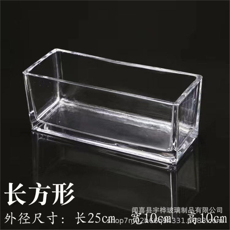 花盆鱼缸一d体绿箩水仙铜钱透明长方形S形多功能水培玻璃花瓶花盆