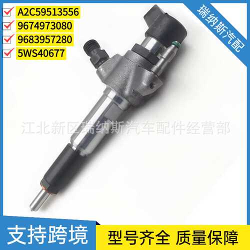 A2C59513556 9674973080 9683957280 9802448680喷油器5WS40677