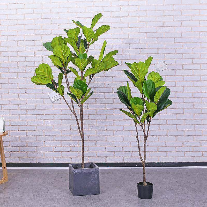 亚马孙热卖仿真琴叶榕盆栽客厅落地大型绿植盆景室内装饰家居假树,鲜花速递/花卉仿真/绿植园艺,割草机/草坪机,淘宝优惠券,粉丝福利购,淘宝优惠卷