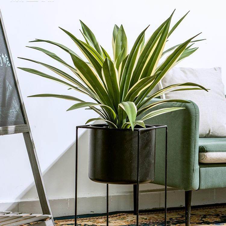 高端手感仿真龙血树龙舌兰假树绿植植物盆栽室内客厅造景装饰摆件