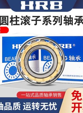HRB哈尔滨N1009 1014 1024 1026 1028 1030 1032EM圆柱滚子轴承