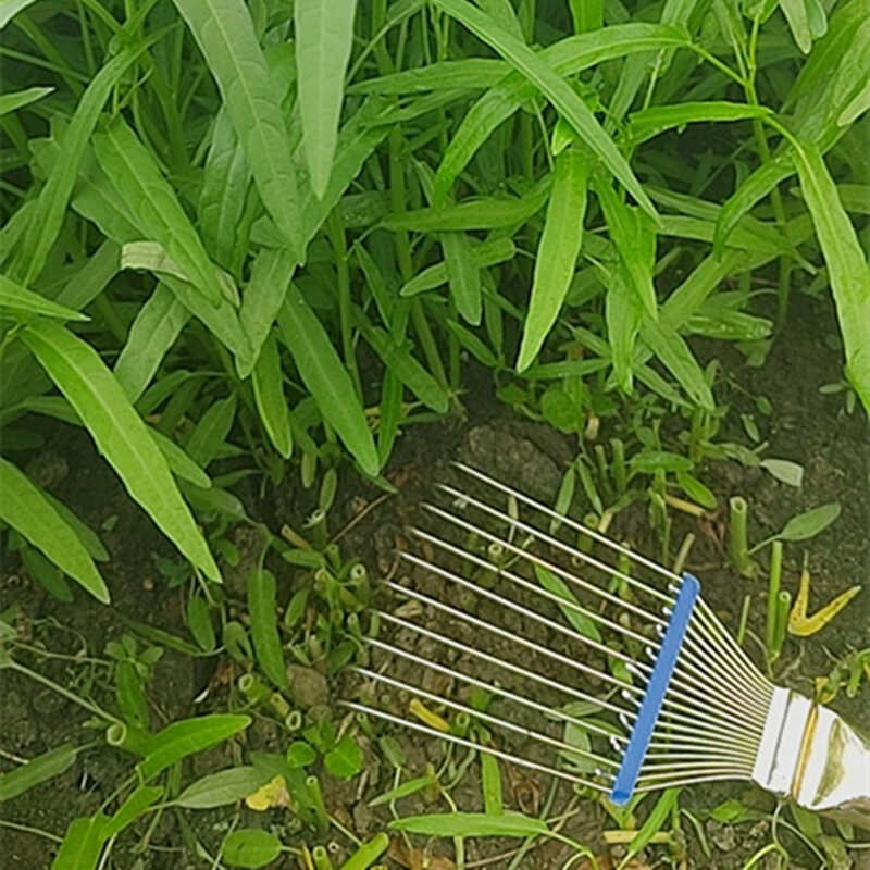 大小号钢丝园艺空心菜梳子菜叶耙子粮食H耙10齿农用梳子青菜叶梳