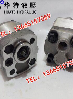 齿轮泵 CBKA-F0.63 0.8 1.2 1.6 2.1 2.5 2.7 3.2 3.7 4.2 5 6 8F