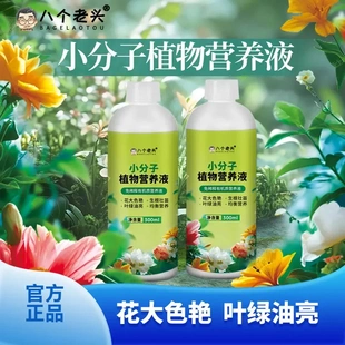 八个老头小分子植物营养液强力促根膨果增甜抗病抗寒叶面肥冲施肥