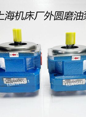 G40 齿轮泵PG/A120-3-3 机床10/4 163/P-/.上海6--2A26厂6 25 ER