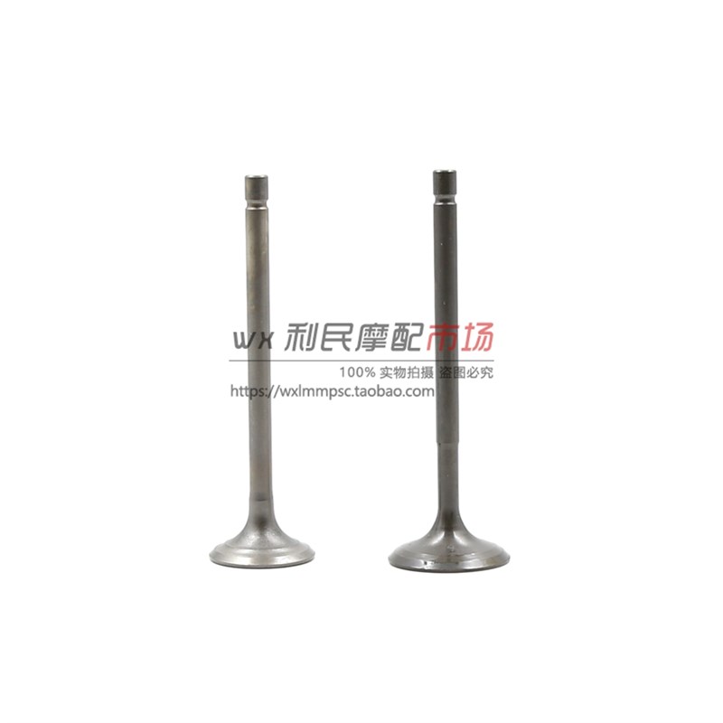 适用AN海王星HiS125T福星丽星-2/3蓝红金巨星超人150悠E气门气阀