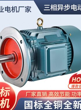 Y -L 0-3W-L电机马达W3-4K国标E三相电机全铜18v038K15EY221604