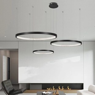 意式极简客厅主吊灯现q代简约轻奢全铜黑色大厅意大利圆环餐厅吊