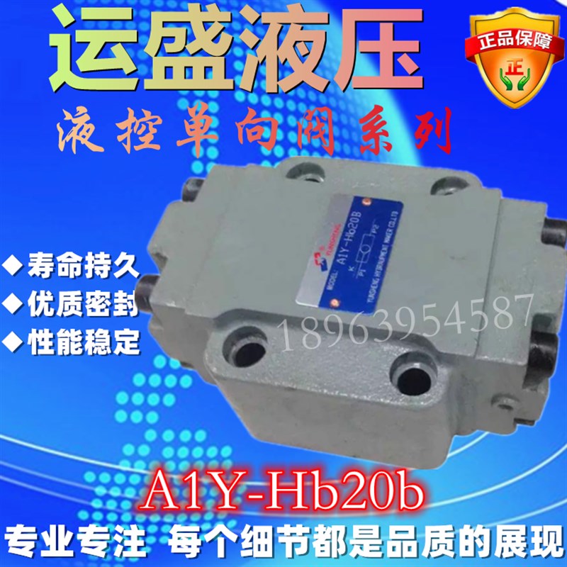 运盛液压  YUNSHENG 液控单向阀A1Y-Ha20B Hb20B A2QY DFY-B10H 3