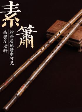 薛华洞箫专业演奏箫一节紫竹箫精制箫手工素箫G调八孔六孔萧乐器