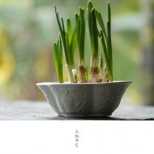 三物七言 雕刻多宝纹海棠型水仙盆 素雅植物盆灰釉陶瓷花盆