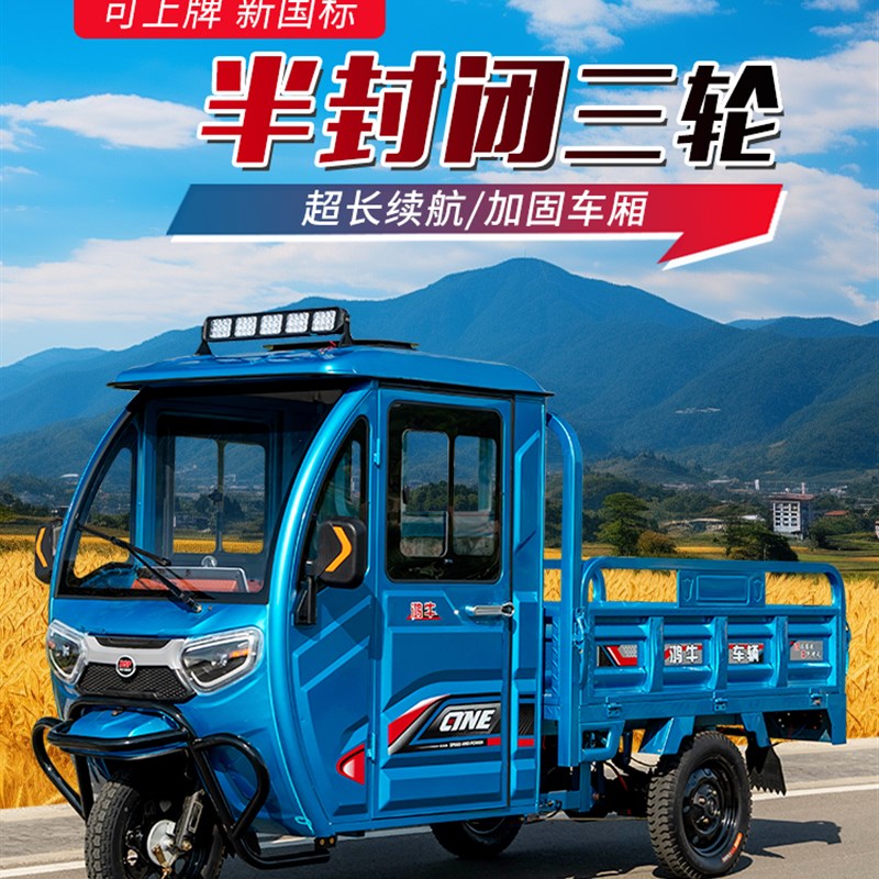 电动三轮车小型拉货家用货车2025新款农用国标可上牌载重王带雨棚