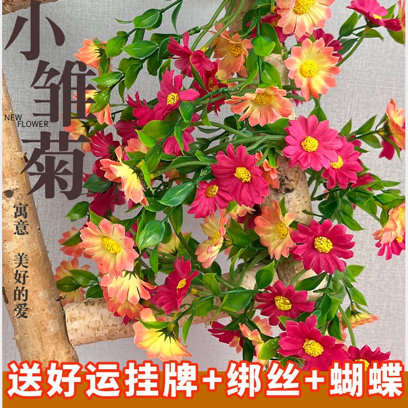 彷真雏菊花藤室内背景墙橱窗菊花装D饰遮挡假花藤条空调管道缠绕