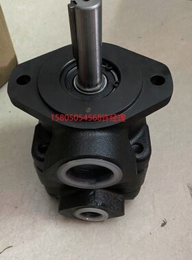 1P12V20D/11P201A-/一P/P1弘131B1P/1/C111P叶片泵-/ -