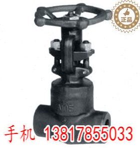 900LB～1500LB锻钢闸阀(焊接式阀盖) 100C蒸汽压闸阀DN20 25 50