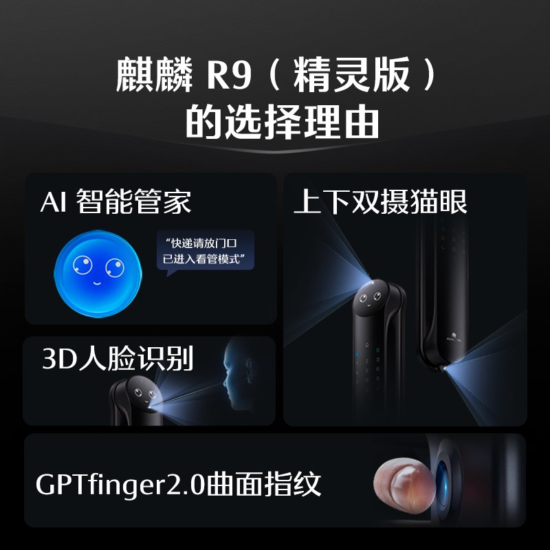 德施曼密码锁指纹锁家用防盗门3D人脸识别智能锁感应锁R9精灵版