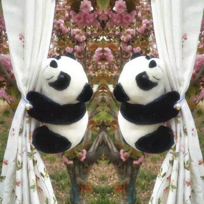 卡通窗帘绑带窗帘扣浴帘窗帘夹花创意可爱绳扎带轻奢高档