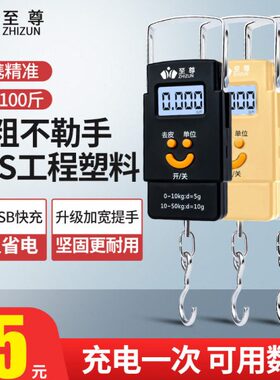 手提电子秤家用小型50KG公斤高精度精准便携式弹簧手拎手拿快递称