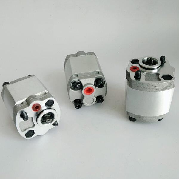 Boden油泵BKP1Q0S0.8 1 1.6 BKP1Q0D8.0G0L1-B 5.8 7 3.2G0N0-B-V