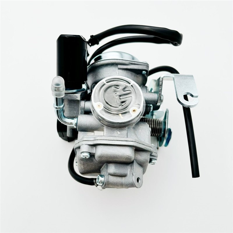 摩托车岭木韵彩100T-B睿彩QS125T-2B-4B丽彩红宝UM125T国三化油器