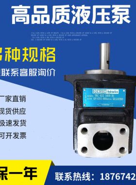 丹尼逊T6C-014-2R01-B1叶片泵 T6C 010 (1R00 1R01 1R02 1R03) B1