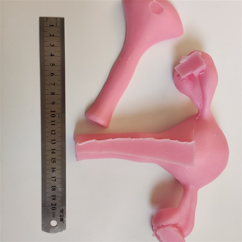 妇科宫腔镜外科腹腔镜剪切缝合剥离训练练习硅胶3D仿生模块模型