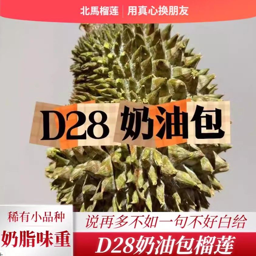 北马榴[液氮]小品种D28奶油包榴莲味道9分甜1分苦属甜糯榴莲
