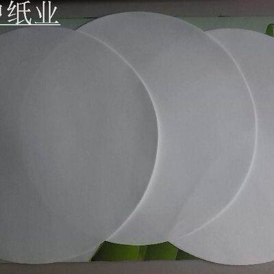精密不锈钢板框过滤器用PP滤纸微孔滤膜圆形直径300mm孔径0.1~1um