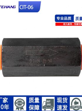 FTH油研款单向阀止回阀油压直通管式逆止阀CIT-06 02 04 03 08 10