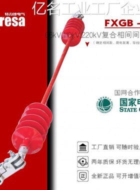 FXGB-110FX合相间间隔偏双分裂复棒绝缘子,防舞动防风JW-66预绞式