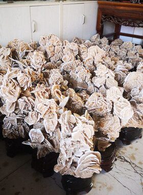 精品沙漠玫瑰原石摆件矿物晶体奇石观赏石原石自然石画面石收藏