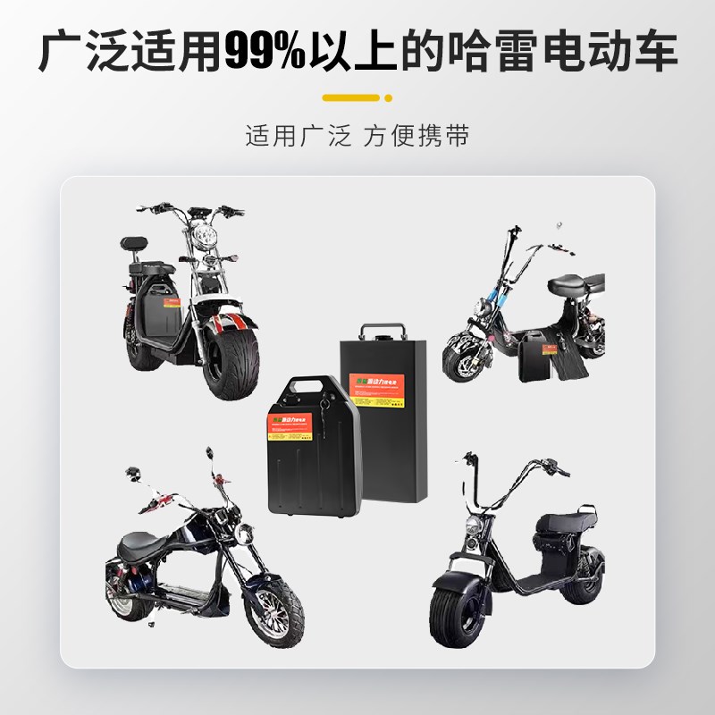 大哈雷电动车锂电池60V12AH20AHX9X20启牛48V72V踏板车可拆卸电瓶