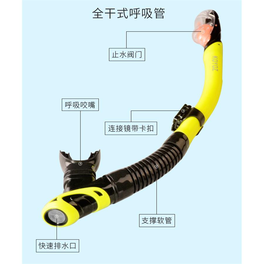 浮潜三宝套装潜水镜全干式呼吸管防雾近视面罩护鼻水肺游潜水装备