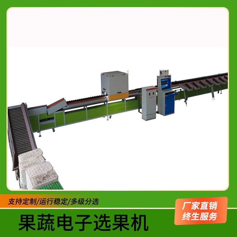 沃柑柠檬外观筛选重量选果机橙子苹果测糖分拣称重分选机