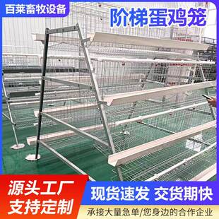 养殖场蛋鸡笼三层四门阶梯式蛋鸡笼阶梯式笼养鸡设备