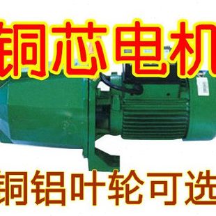 1KW 射流泵 喷射泵 铝叶轮 自吸离心泵 150 抽水机 清水泵 JET