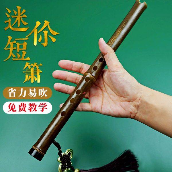 便携入门洞箫零基础紫竹短萧高级迷你小萧笛古风六孔C调箫乐器D潇