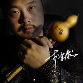 包邮 F专业演奏葫芦丝乐器 云南毕格宝葫芦丝玉墨雅作c调降b调D