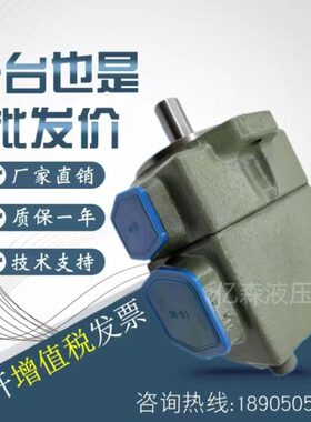 /R1R克/103///7/-F---/28-251特海叶 /6P14油泵1U823片191/V210