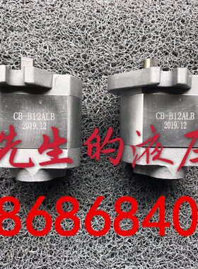 B齿轮泵B12AAL油泵CLBC12A齿轮泵BBBB机床B铝合金 C 10-LB齿轮泵-