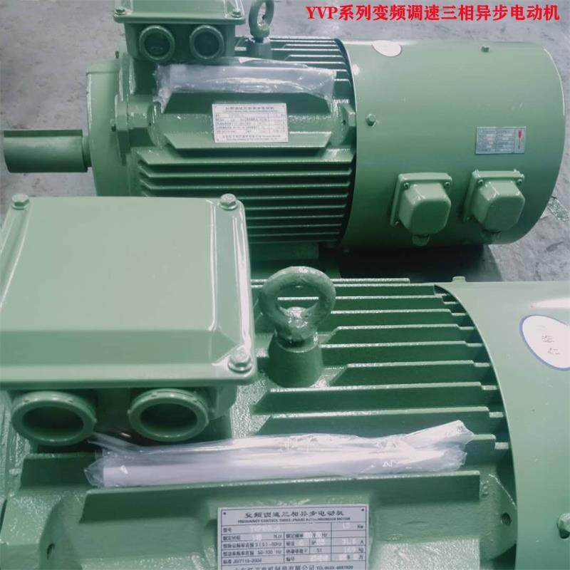 山东厂家直供YVP180L-6/15WYVP系列变频调速三相异步电动机,电子元器件市场,电机/马达,淘宝优惠券,粉丝福利购,淘宝优惠卷