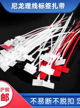 现货扎带 塑料自锁式尼龙一次性标牌扎带塑料封条塑料尼龙带拉扣